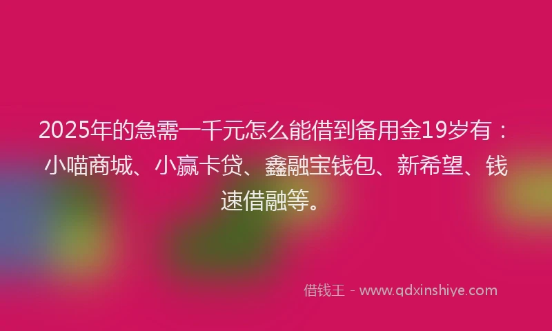 2025年的急需一千元怎么能借到备用金19岁有：小喵商城、小赢卡贷、鑫融宝钱包、新希望、钱速借融等。