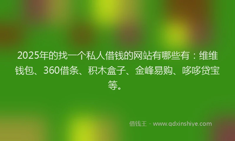 2025年的找一个私人借钱的网站有哪些有：维维钱包、360借条、积木盒子、金峰易购、哆哆贷宝等。