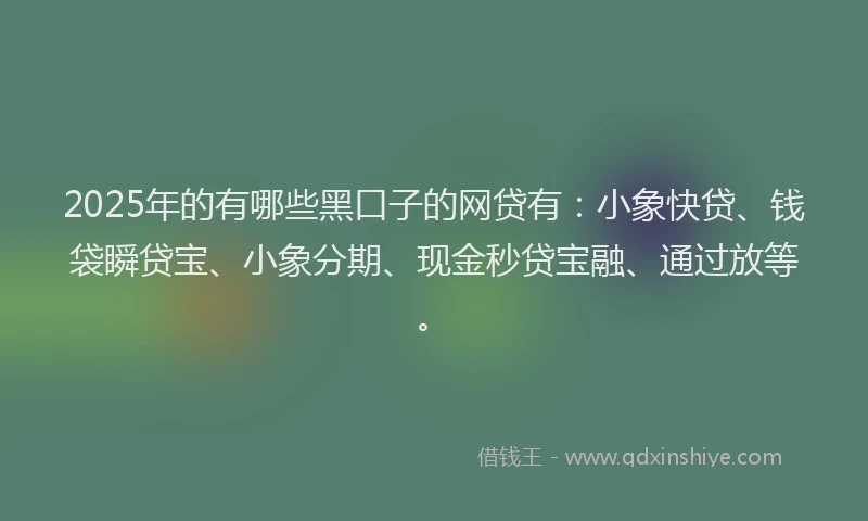 2025年的有哪些黑口子的网贷有：小象快贷、钱袋瞬贷宝、小象分期、现金秒贷宝融、通过放等。