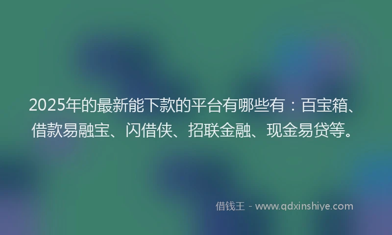 2025年的最新能下款的平台有哪些有：百宝箱、借款易融宝、闪借侠、招联金融、现金易贷等。