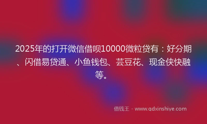 2025年的打开微信借呗10000微粒贷有：好分期、闪借易贷通、小鱼钱包、芸豆花、现金侠快融等。