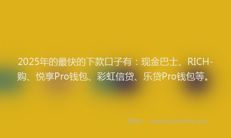 2025年的最快的下款口子有：现金巴士、RICH-购、悦享Pro钱包、彩虹信贷、乐贷Pro钱包等。