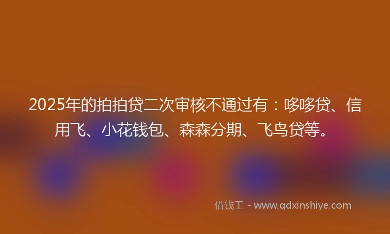 2025年的拍拍贷二次审核不通过有：哆哆贷、信用飞、小花钱包、森森分期、飞鸟贷等。