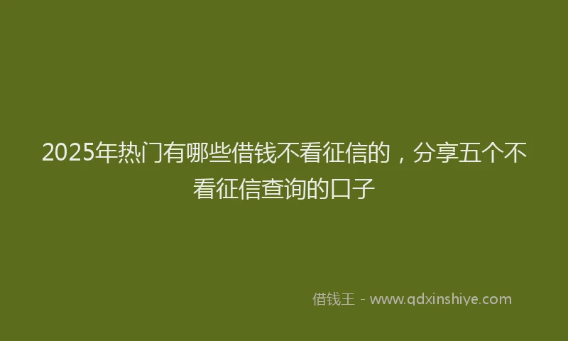 2025年热门有哪些借钱不看征信的，分享五个不看征信查询的口子