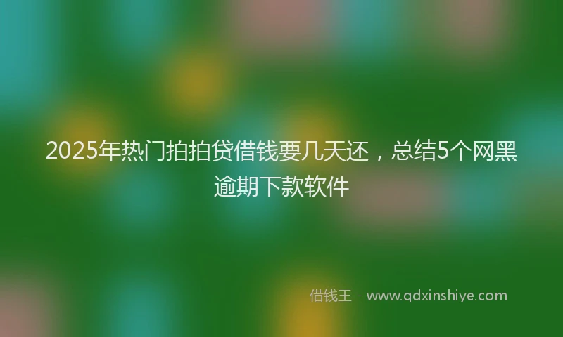 2025年热门拍拍贷借钱要几天还，总结5个网黑逾期下款软件