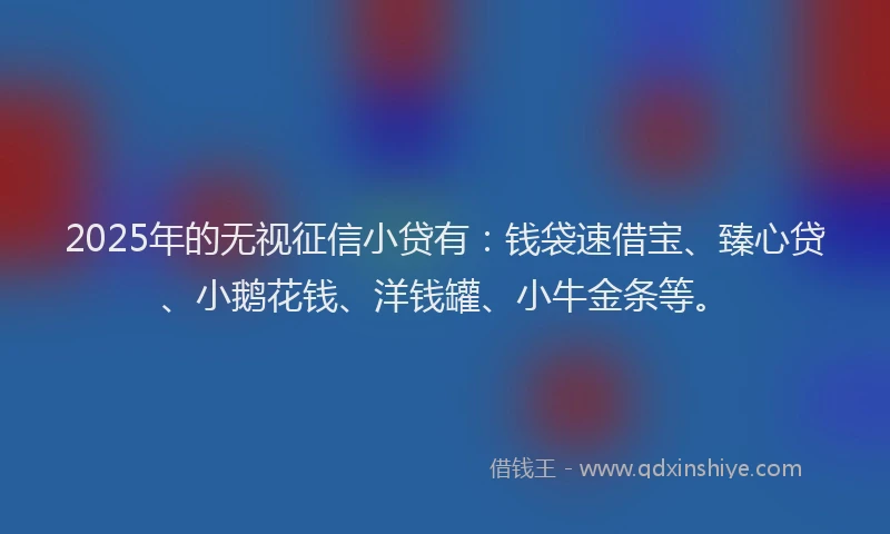 2025年的无视征信小贷有：钱袋速借宝、臻心贷、小鹅花钱、洋钱罐、小牛金条等。