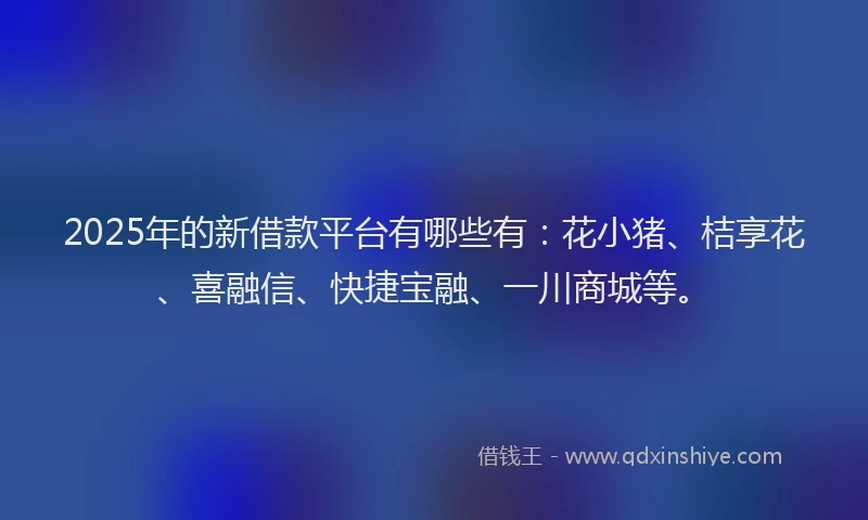 2025年的新借款平台有哪些有：花小猪、桔享花、喜融信、快捷宝融、一川商城等。