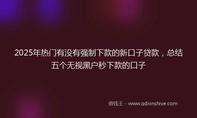 2025年热门有没有强制下款的新口子贷款，总结五个无视黑户秒下款的口子