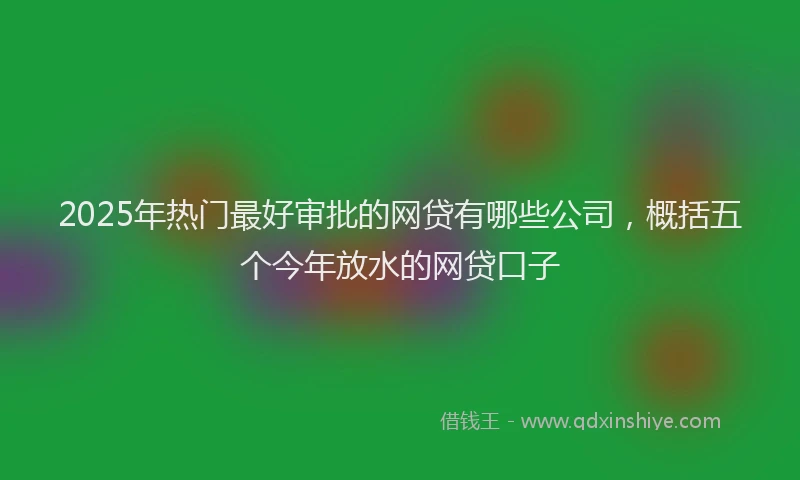 2025年热门最好审批的网贷有哪些公司，概括五个今年放水的网贷口子