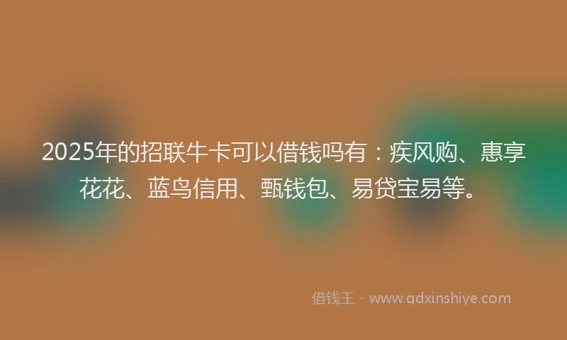 2025年的招联牛卡可以借钱吗有：疾风购、惠享花花、蓝鸟信用、甄钱包、易贷宝易等。