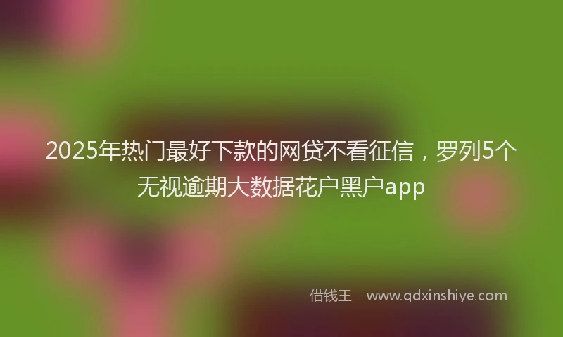 2025年热门最好下款的网贷不看征信，罗列5个无视逾期大数据花户黑户app