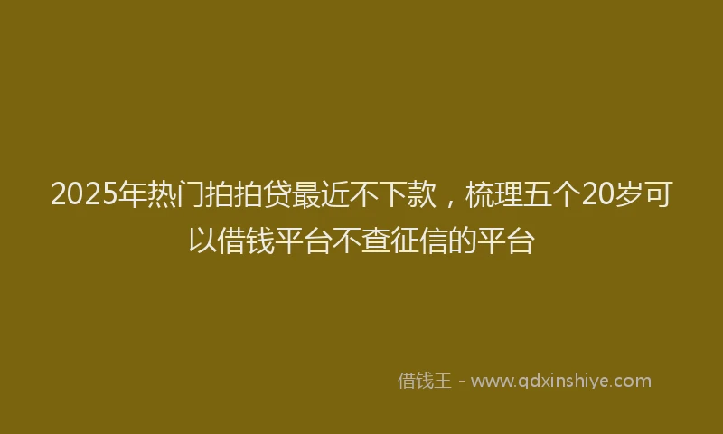 2025年热门拍拍贷最近不下款，梳理五个20岁可以借钱平台不查征信的平台