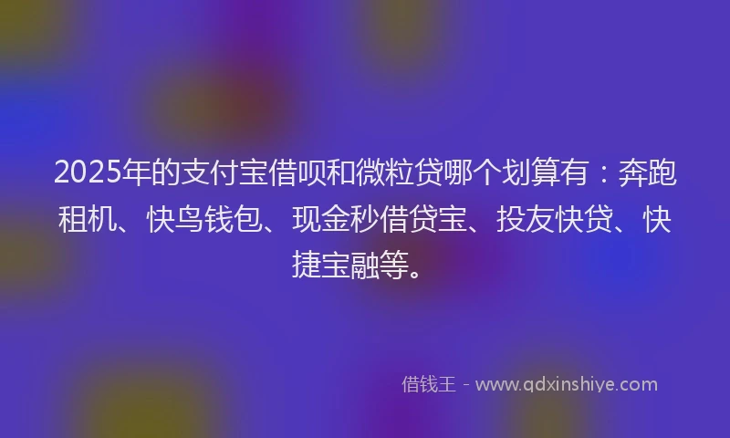 2025年的支付宝借呗和微粒贷哪个划算有：奔跑租机、快鸟钱包、现金秒借贷宝、投友快贷、快捷宝融等。