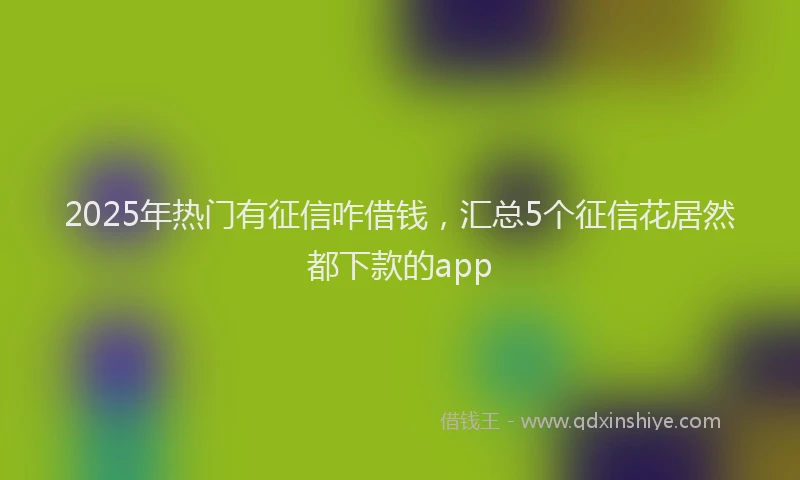 2025年热门有征信咋借钱，汇总5个征信花居然都下款的app