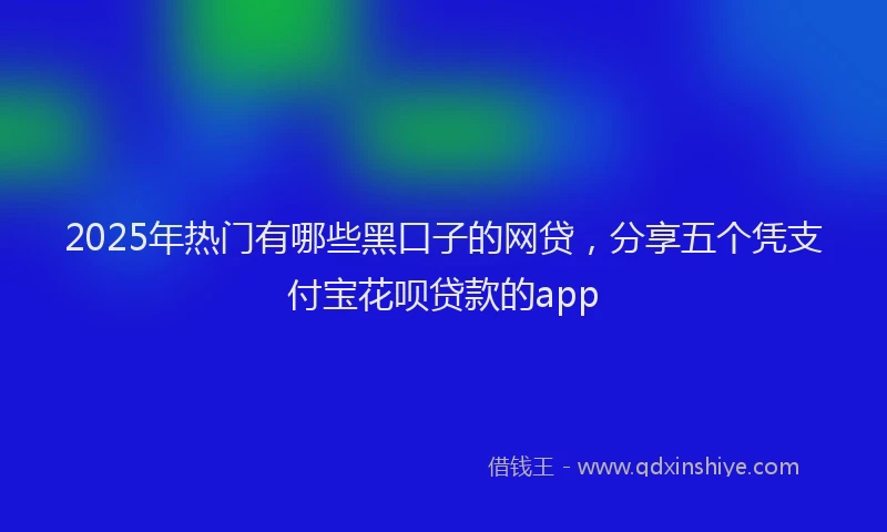2025年热门有哪些黑口子的网贷，分享五个凭支付宝花呗贷款的app