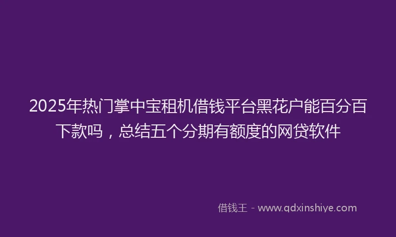 2025年热门掌中宝租机借钱平台黑花户能百分百下款吗，总结五个分期有额度的网贷软件