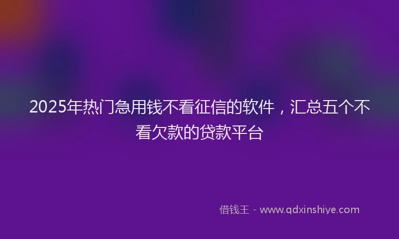 2025年热门急用钱不看征信的软件，汇总五个不看欠款的贷款平台