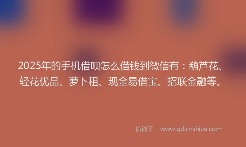 2025年的手机借呗怎么借钱到微信有：葫芦花、轻花优品、萝卜租、现金易借宝、招联金融等。