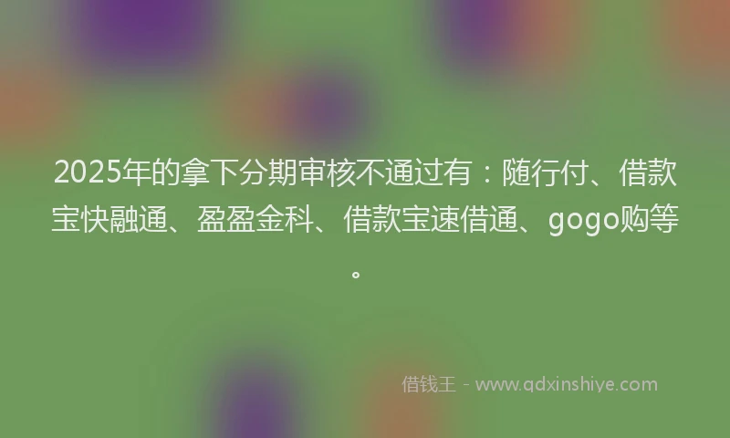 2025年的拿下分期审核不通过有：随行付、借款宝快融通、盈盈金科、借款宝速借通、gogo购等。