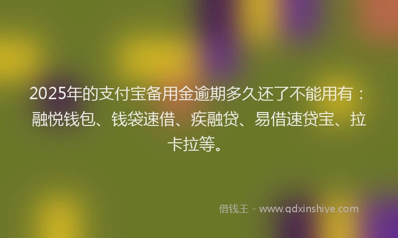 2025年的支付宝备用金逾期多久还了不能用有：融悦钱包、钱袋速借、疾融贷、易借速贷宝、拉卡拉等。