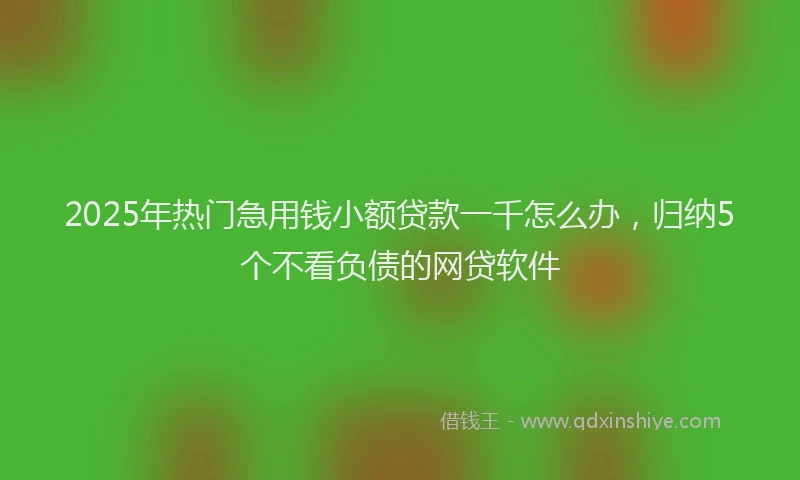 2025年热门急用钱小额贷款一千怎么办，归纳5个不看负债的网贷软件