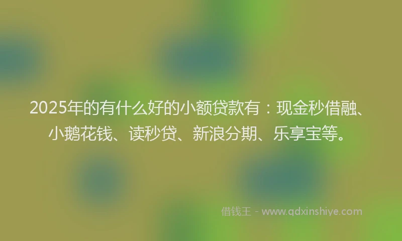 2025年的有什么好的小额贷款有：现金秒借融、小鹅花钱、读秒贷、新浪分期、乐享宝等。