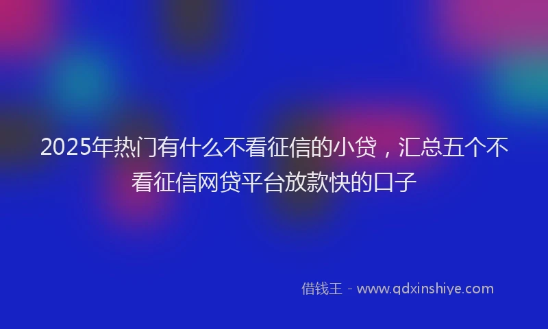 2025年热门有什么不看征信的小贷，汇总五个不看征信网贷平台放款快的口子