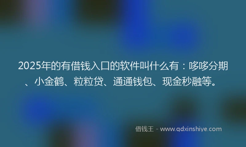 2025年的有借钱入口的软件叫什么有：哆哆分期、小金鹤、粒粒贷、通通钱包、现金秒融等。