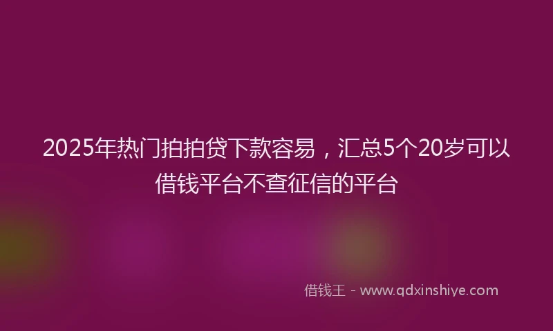 2025年热门拍拍贷下款容易，汇总5个20岁可以借钱平台不查征信的平台