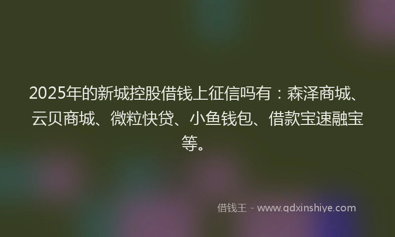 2025年的新城控股借钱上征信吗有：森泽商城、云贝商城、微粒快贷、小鱼钱包、借款宝速融宝等。