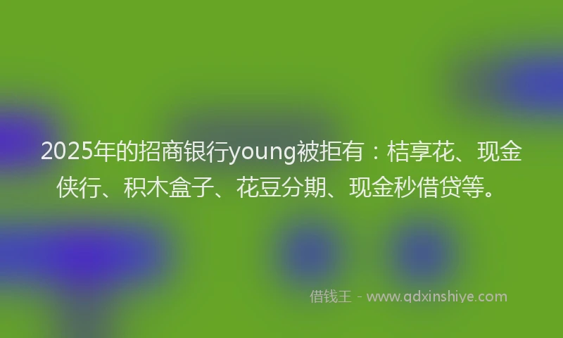 2025年的招商银行young被拒有：桔享花、现金侠行、积木盒子、花豆分期、现金秒借贷等。