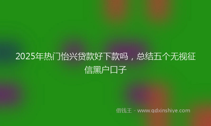 2025年热门怡兴贷款好下款吗，总结五个无视征信黑户口子