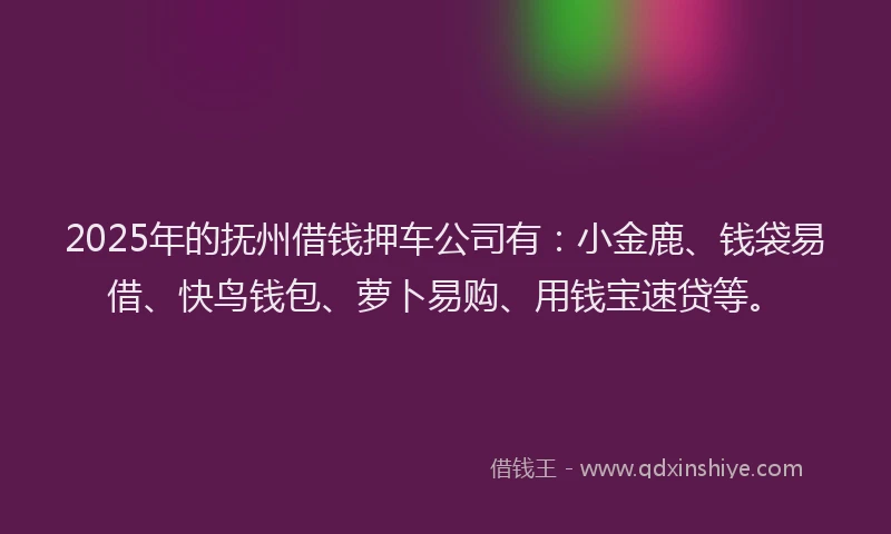 2025年的抚州借钱押车公司有：小金鹿、钱袋易借、快鸟钱包、萝卜易购、用钱宝速贷等。