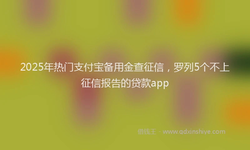 2025年热门支付宝备用金查征信，罗列5个不上征信报告的贷款app