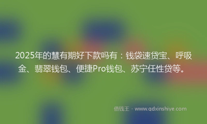 2025年的慧有期好下款吗有：钱袋速贷宝、呼吸金、翡翠钱包、便捷Pro钱包、苏宁任性贷等。