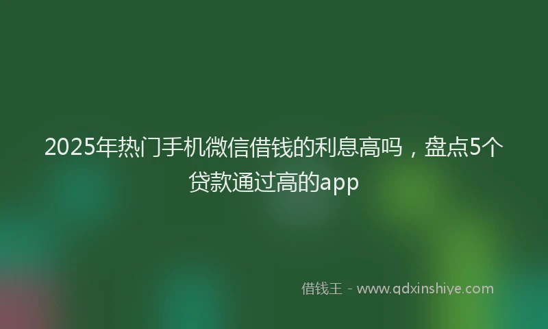 2025年热门手机微信借钱的利息高吗，盘点5个贷款通过高的app