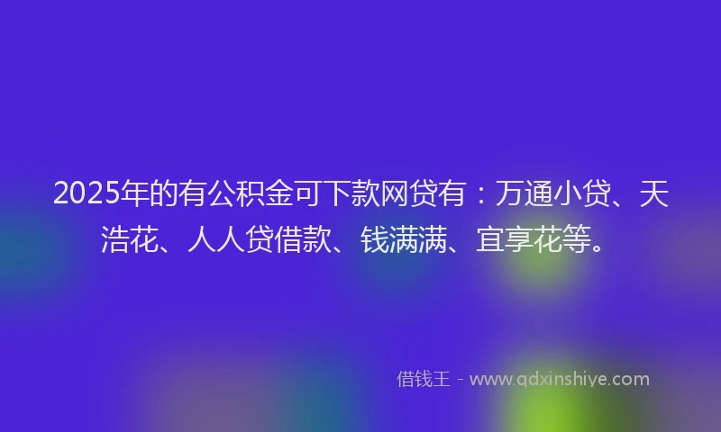 2025年的有公积金可下款网贷有：万通小贷、天浩花、人人贷借款、钱满满、宜享花等。