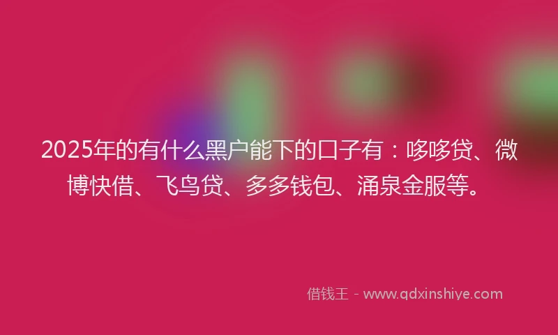 2025年的有什么黑户能下的口子有：哆哆贷、微博快借、飞鸟贷、多多钱包、涌泉金服等。