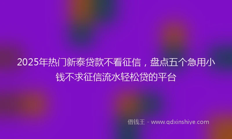 2025年热门新泰贷款不看征信，盘点五个急用小钱不求征信流水轻松贷的平台