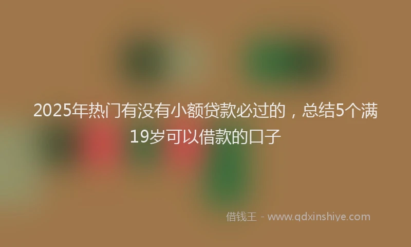 2025年热门有没有小额贷款必过的，总结5个满19岁可以借款的口子