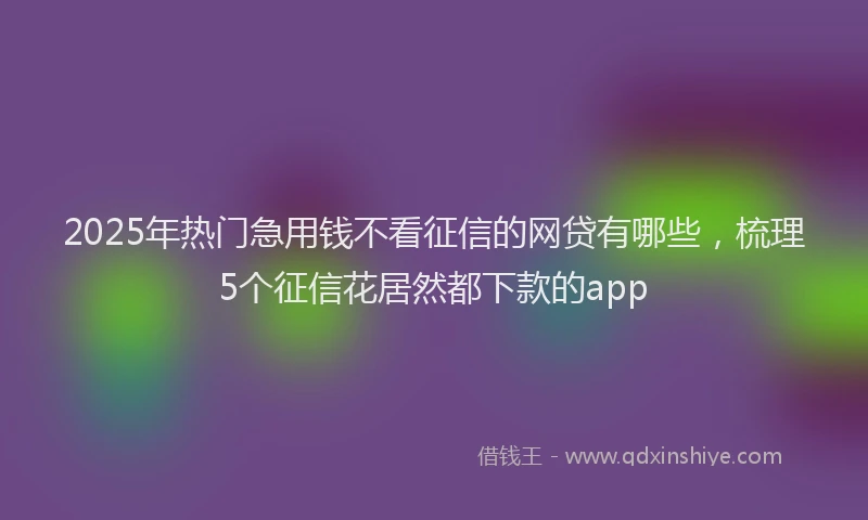2025年热门急用钱不看征信的网贷有哪些，梳理5个征信花居然都下款的app