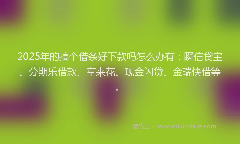 2025年的搞个借条好下款吗怎么办有：瞬信贷宝、分期乐借款、享来花、现金闪贷、金瑞快借等。