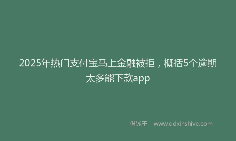 2025年热门支付宝马上金融被拒，概括5个逾期太多能下款app