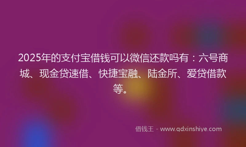 2025年的支付宝借钱可以微信还款吗有：六号商城、现金贷速借、快捷宝融、陆金所、爱贷借款等。