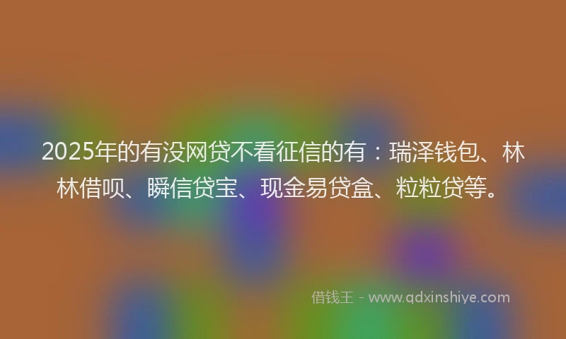 2025年的有没网贷不看征信的有：瑞泽钱包、林林借呗、瞬信贷宝、现金易贷盒、粒粒贷等。