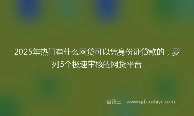 2025年热门有什么网贷可以凭身份证贷款的，罗列5个极速审核的网贷平台