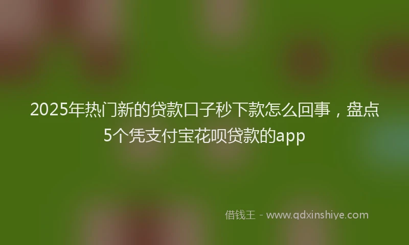 2025年热门新的贷款口子秒下款怎么回事，盘点5个凭支付宝花呗贷款的app