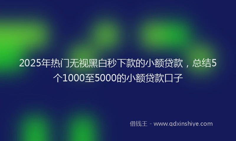 2025年热门无视黑白秒下款的小额贷款，总结5个1000至5000的小额贷款口子