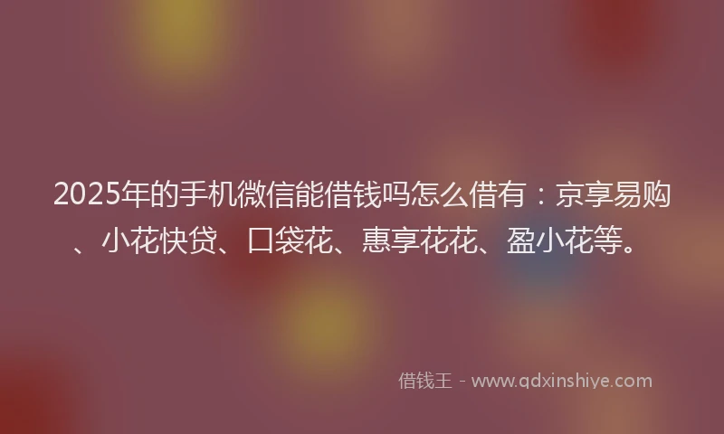 2025年的手机微信能借钱吗怎么借有：京享易购、小花快贷、口袋花、惠享花花、盈小花等。