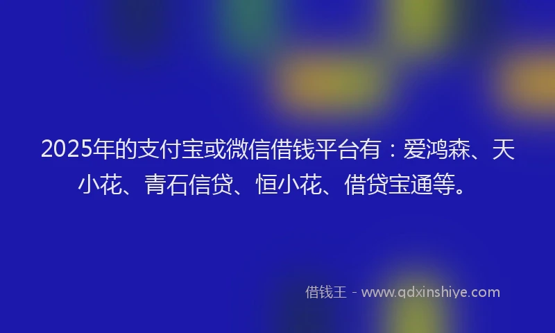 2025年的支付宝或微信借钱平台有：爱鸿森、天小花、青石信贷、恒小花、借贷宝通等。